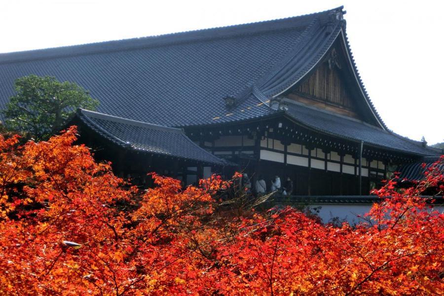 Yutaka Hotel Kyoto Buitenkant foto